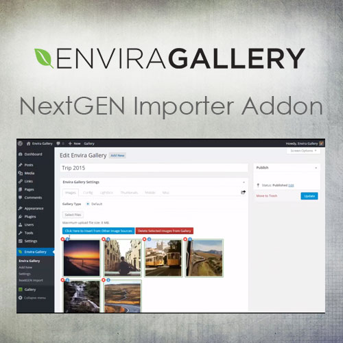 Envira-Gallery-–-NextGEN-Importer-Addon