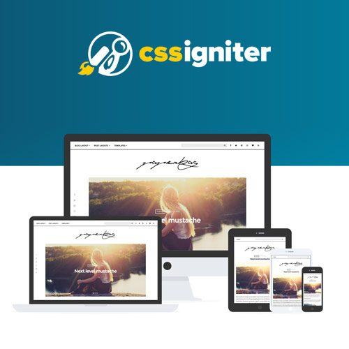 css-igniter-paperbag-wordpress-theme
