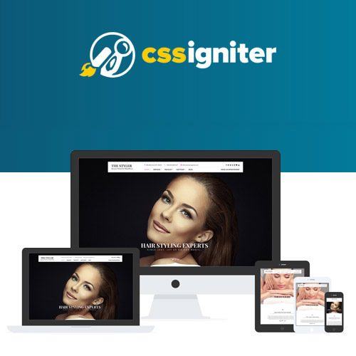 css-igniter-the-styler-wordpress-theme