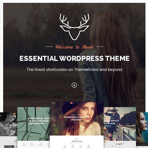 moose-creative-multi-purpose-theme