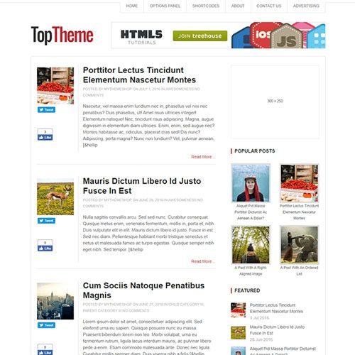 mythemeshop-top-wordpress-theme