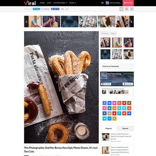 mythemeshop-viral-wordpress-theme